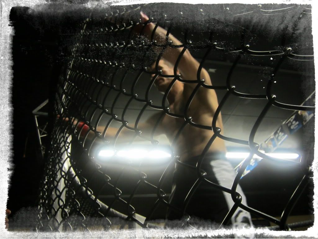 gc3w8jd-cage-fighter-traditional-cache-in-california-united-states